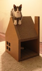 Как своими руками сделать домик для кошки?