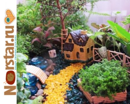 Домашний миниатюрный сад своими руками