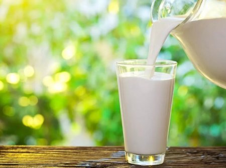 7 причин, чтобы пить молоко и употреблять молочные продукты каждый день