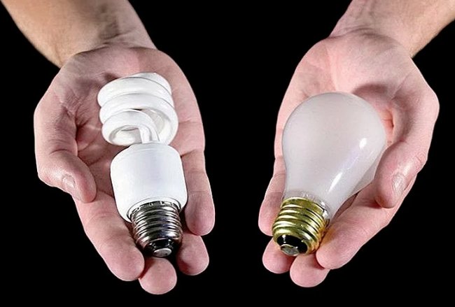 Энергосберегающие лампы: почему их стоит выбрать, какие есть разновидности и сколько они стоят?