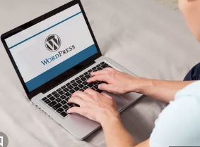 Создание WordPress сайта, внутренняя оптимизация и продвижение в поисковых системах