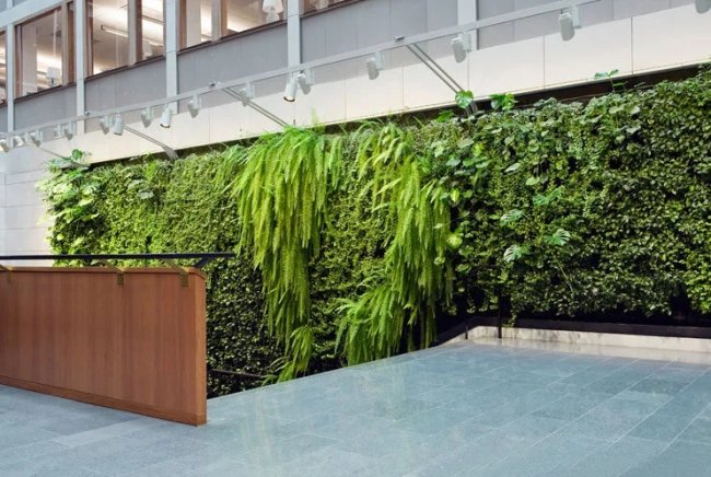 Озеленение бизнес-центров